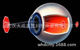 供应科技馆 少年宫科普展品 看得见的声波 巡展系列展品
